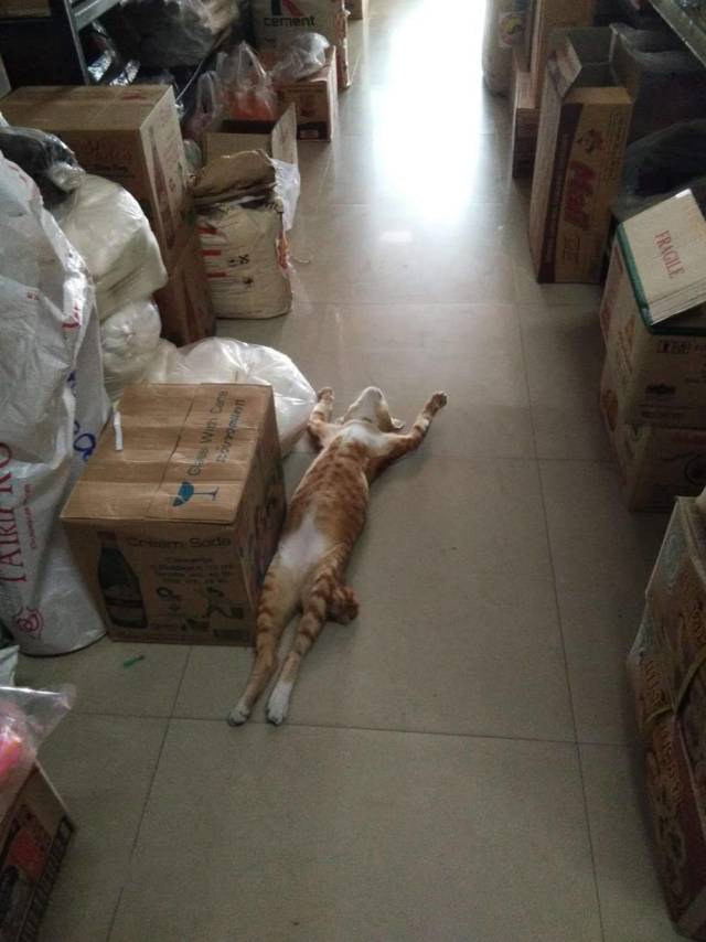 Daily Picdump