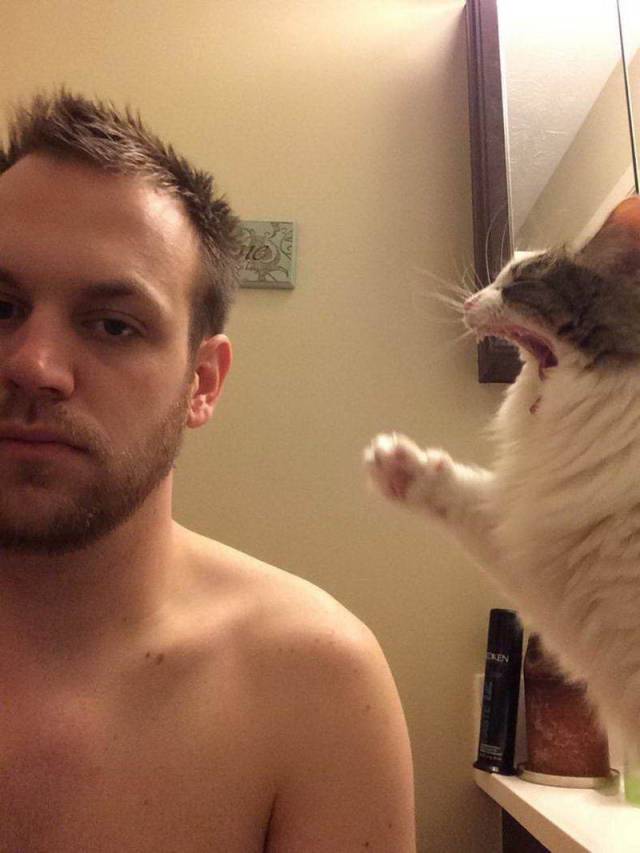 Daily Picdump