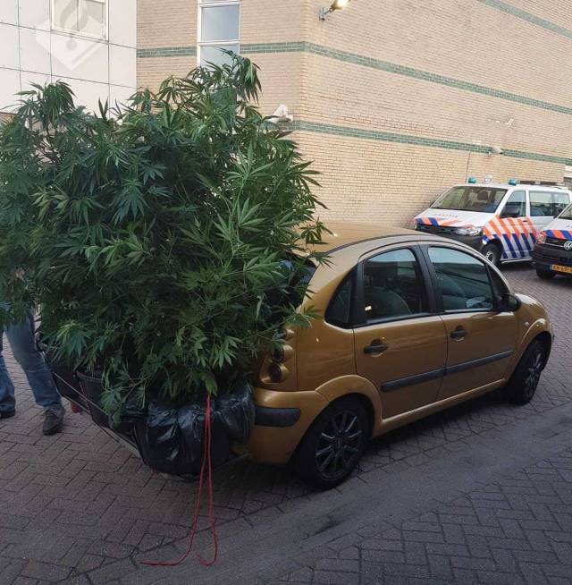 Daily Picdump
