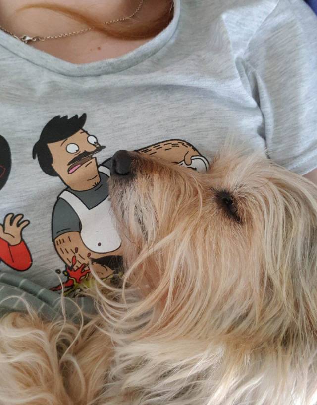 Daily Picdump