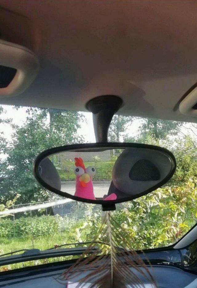 Daily Picdump