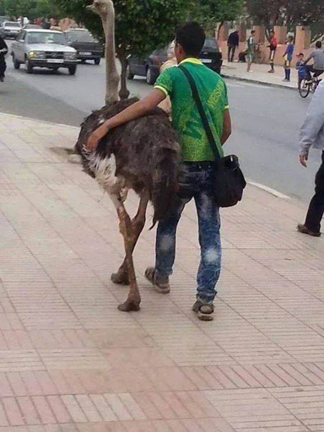 Daily Picdump