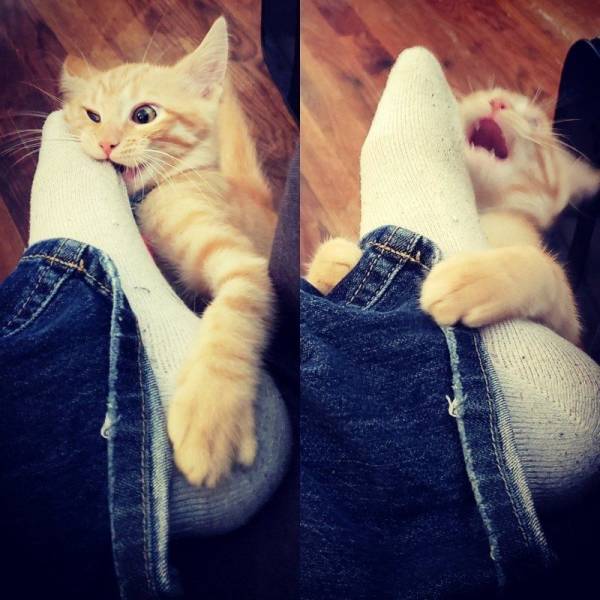 Daily Picdump