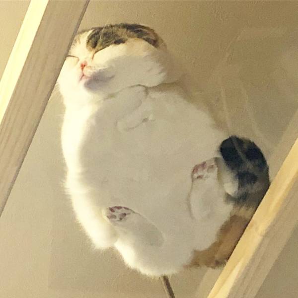 Daily Picdump
