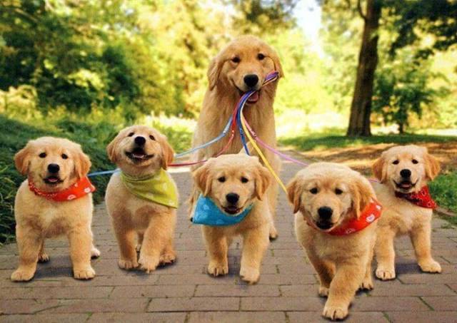 Daily Picdump