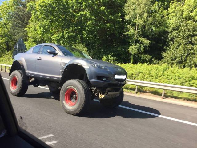 Daily Picdump