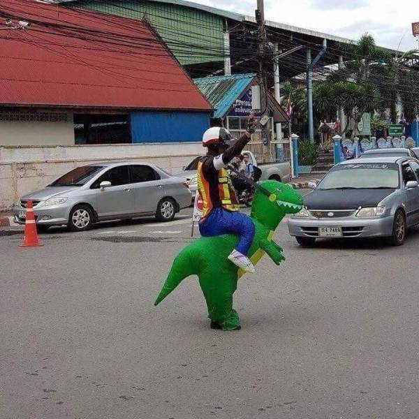 Daily Picdump