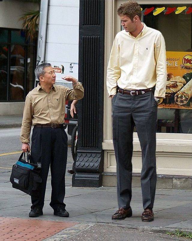 Daily Picdump