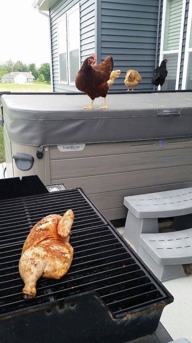 Daily Picdump