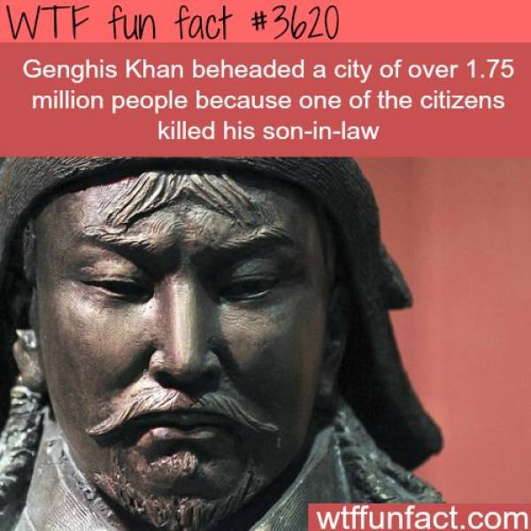 Completely Random But Still Interesting Facts
