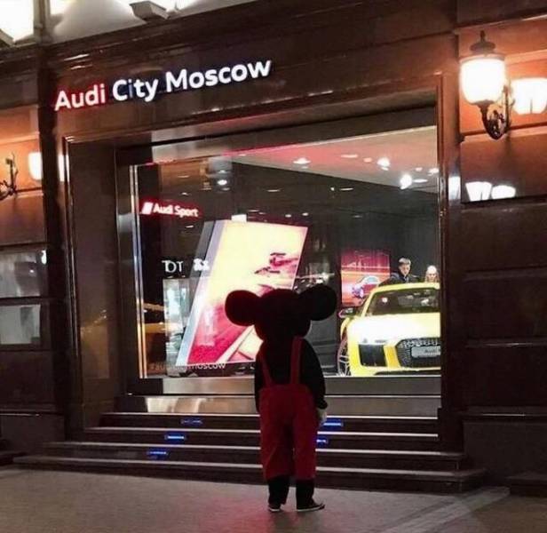 Daily Picdump