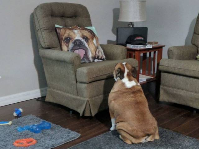 Daily Picdump