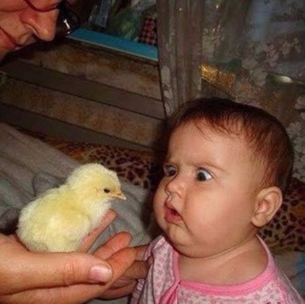 Daily Picdump