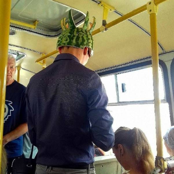 Daily Picdump