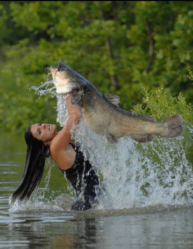 Daily Picdump