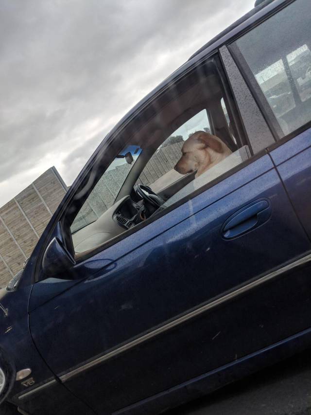 Daily Picdump