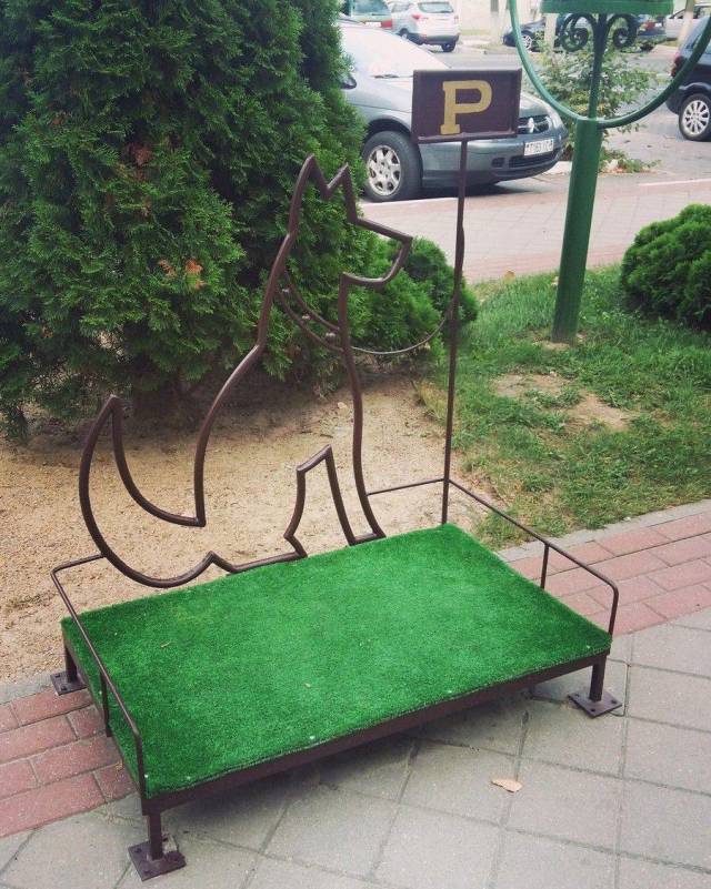 Daily Picdump
