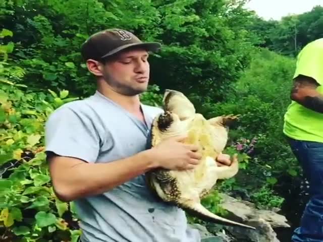 Kissing A Snapping Turtle Is A Great Idea!