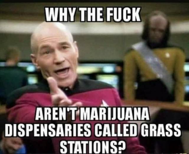 It Would’ve Been Funny, If It Wasn’t So True