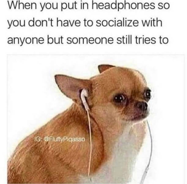 It Would’ve Been Funny, If It Wasn’t So True