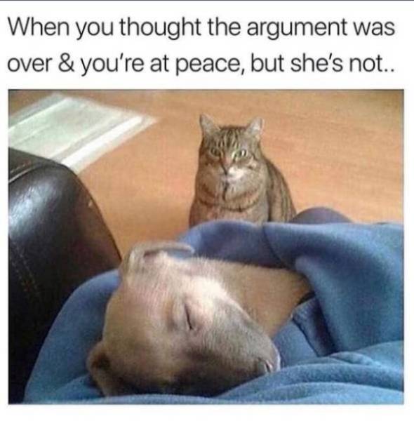 It Would’ve Been Funny, If It Wasn’t So True