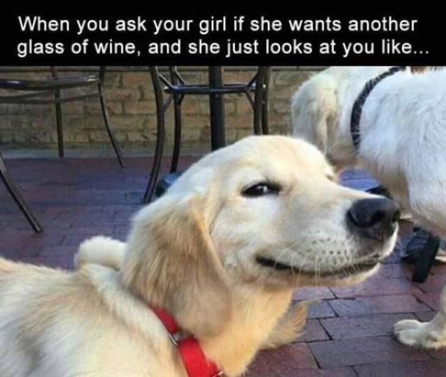It Would’ve Been Funny, If It Wasn’t So True