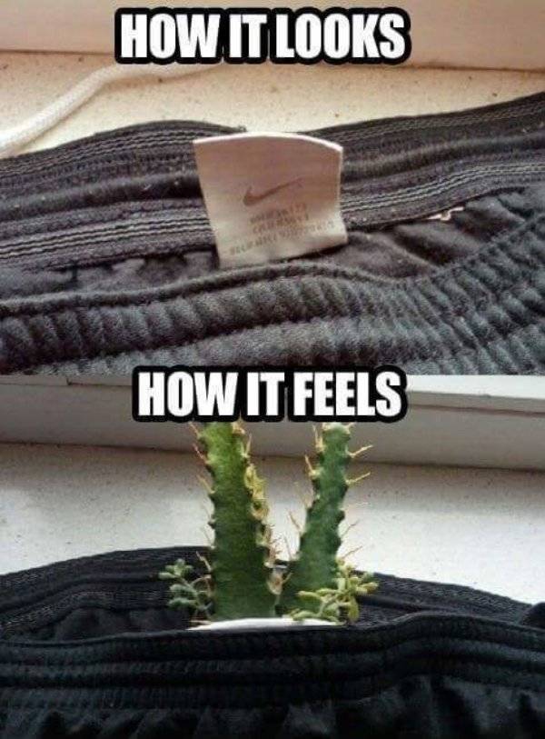 It Would’ve Been Funny, If It Wasn’t So True