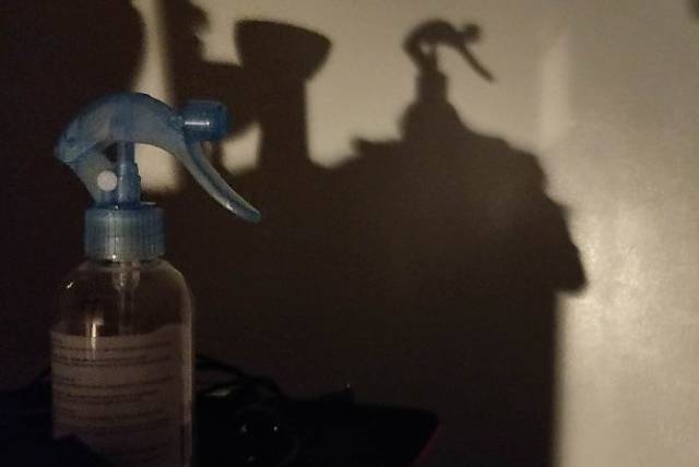 Shadows That Refused To Look Like Their Owners