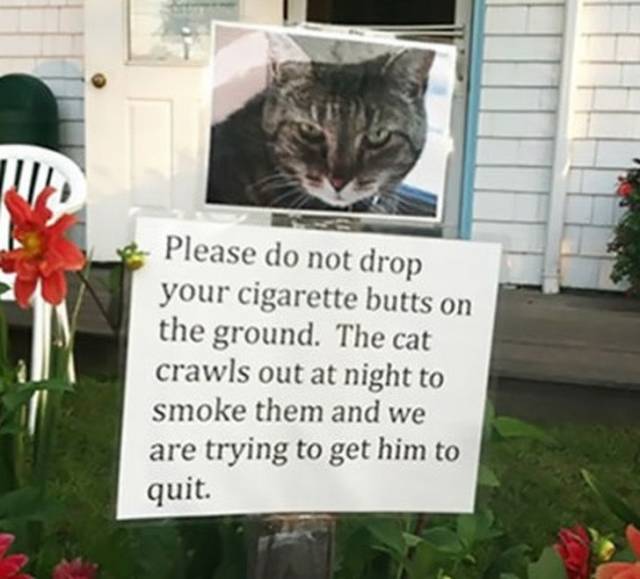Hilarious Examples Of Passive Aggression That Are Absolutely Disarming