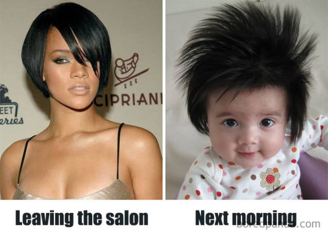 Short Trimmed Hairstylist Memes