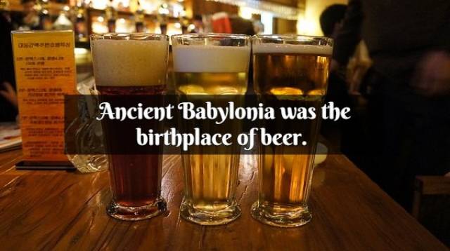 Cold And Mildly Alcoholic Facts About Beer