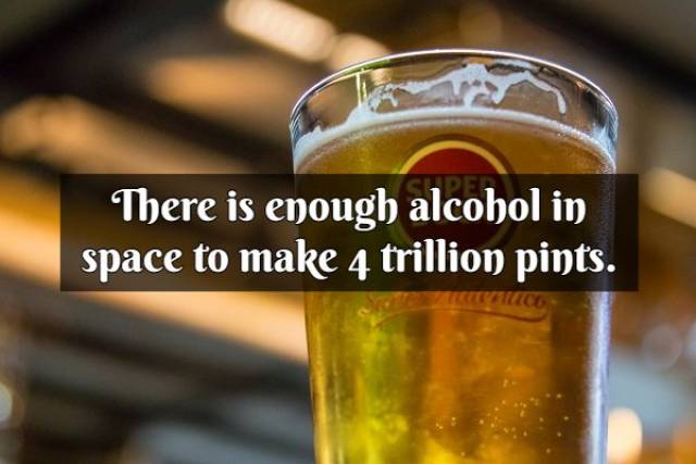 Cold And Mildly Alcoholic Facts About Beer