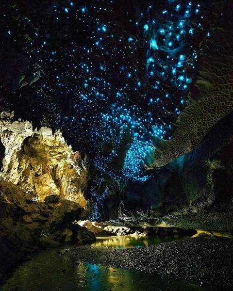 Our Planet Is A Strange Place, And Here Is Why Our Planet Is A Strange Place, And Here Is Why