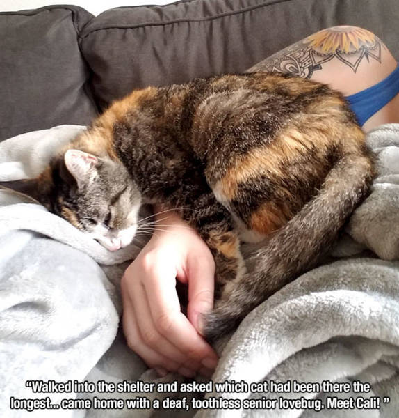 Photos That Will Make You Feel Good