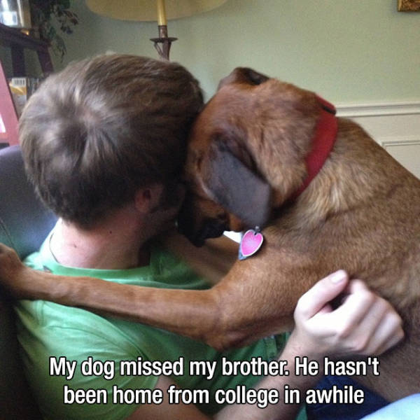 Photos That Will Make You Feel Good