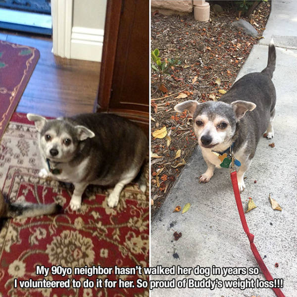 Photos That Will Make You Feel Good