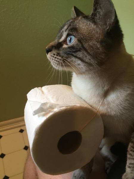 Photos That Will Make You Feel Good