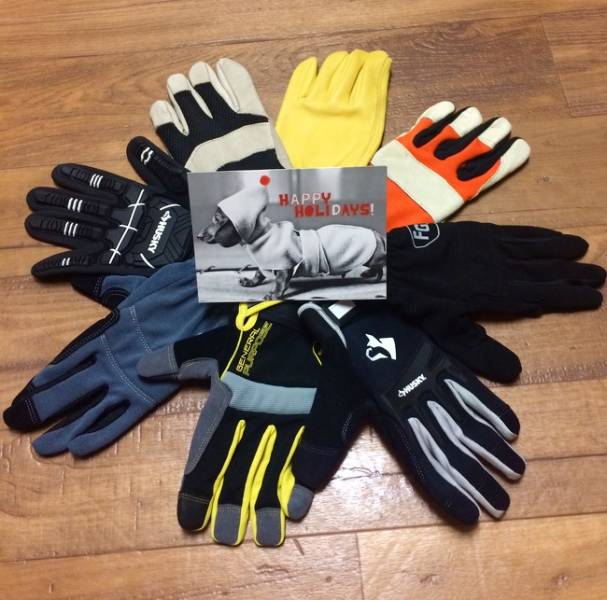 Photos That Will Make You Feel Good