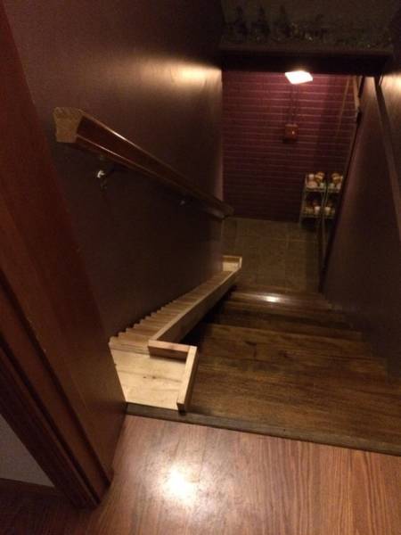 Photos That Will Make You Feel Good