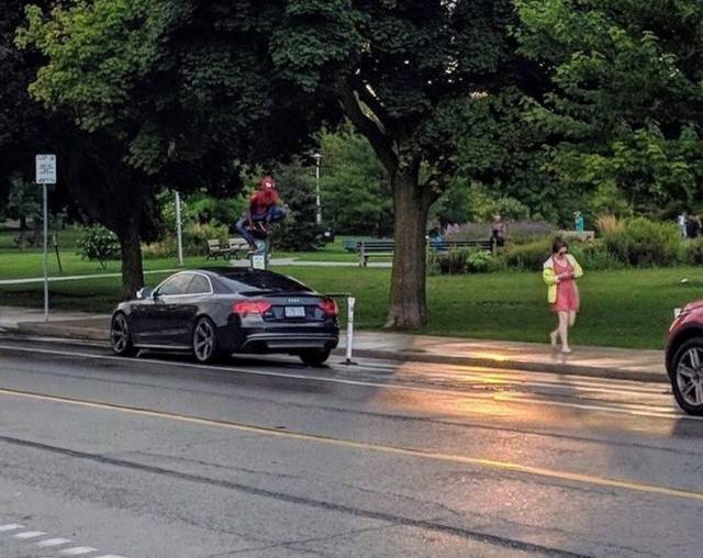 Hard-to-explain WTF Photos