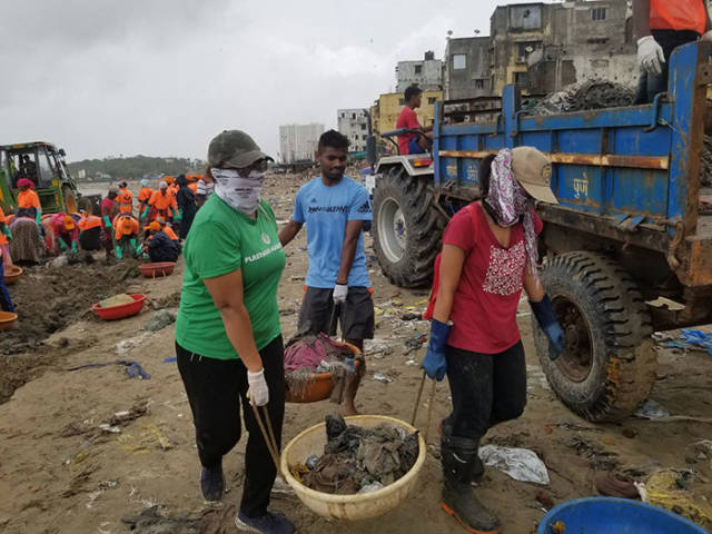 Sea Turtles Are Coming Back To Their Nesting Sites After ...
