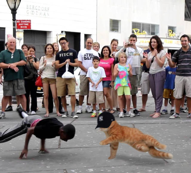 Photoshop Trolls That Went Too Far Photoshop Trolls That Went Too Far