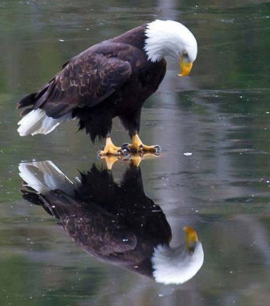 Photoshop Trolls That Went Too Far