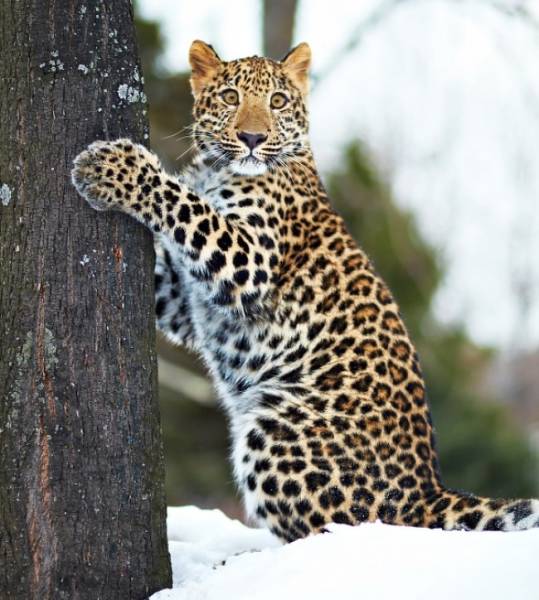 Photoshop Trolls That Went Too Far