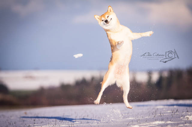 Photoshop Trolls That Went Too Far