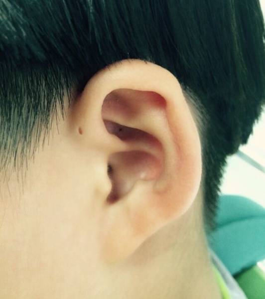 Their Bodies Are Too Weird To Be Real Their Bodies Are Too Weird To Be Real