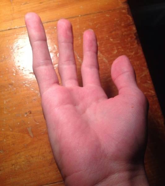 Their Bodies Are Too Weird To Be Real Their Bodies Are Too Weird To Be Real