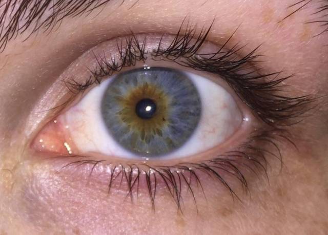 Their Bodies Are Too Weird To Be Real Their Bodies Are Too Weird To Be Real