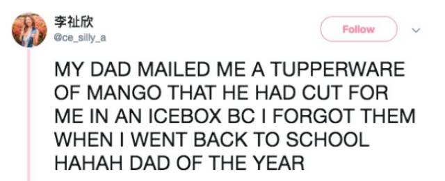 These Dads Are The True Masters Of Their Craft