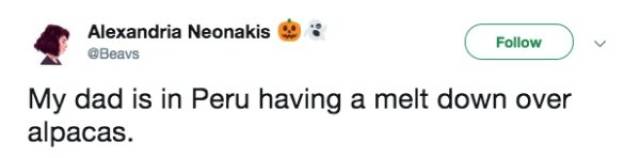 These Dads Are The True Masters Of Their Craft